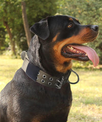 Dog Collar for Large Dogs, with Handle 2" Wide Heavy Duty - Green / M - image 2