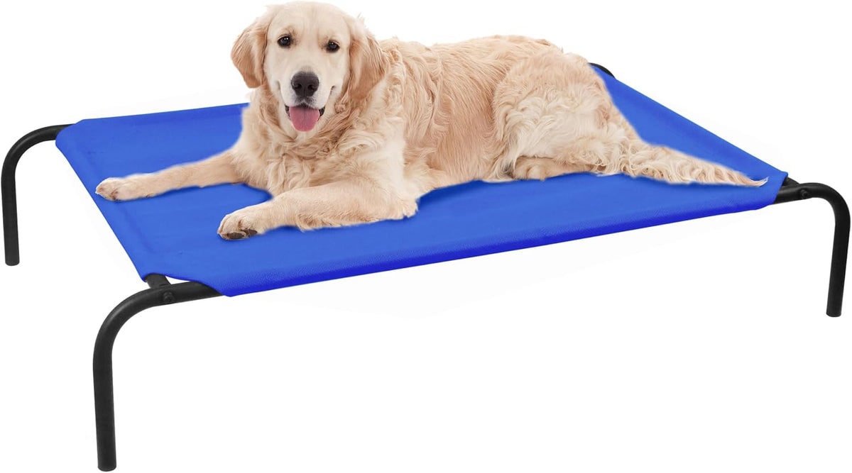 Raised Pet Cot for Small Pets – Essentials for Dogs - Large / Blue