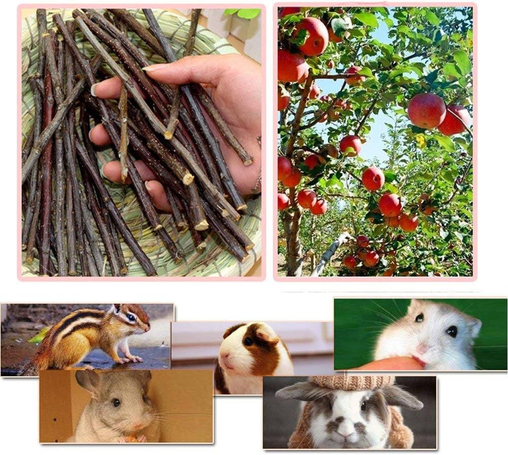 500g Apple Sticks for Small Animals: Wood Molar Toys for Rabbits - 250g - image 2
