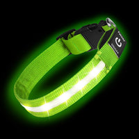 Super Bright LED Dog Collar, Waterproof Light up Collars – Essentials for Dogs - M (Width:1",Length:14.5" - 19.5") / Green
