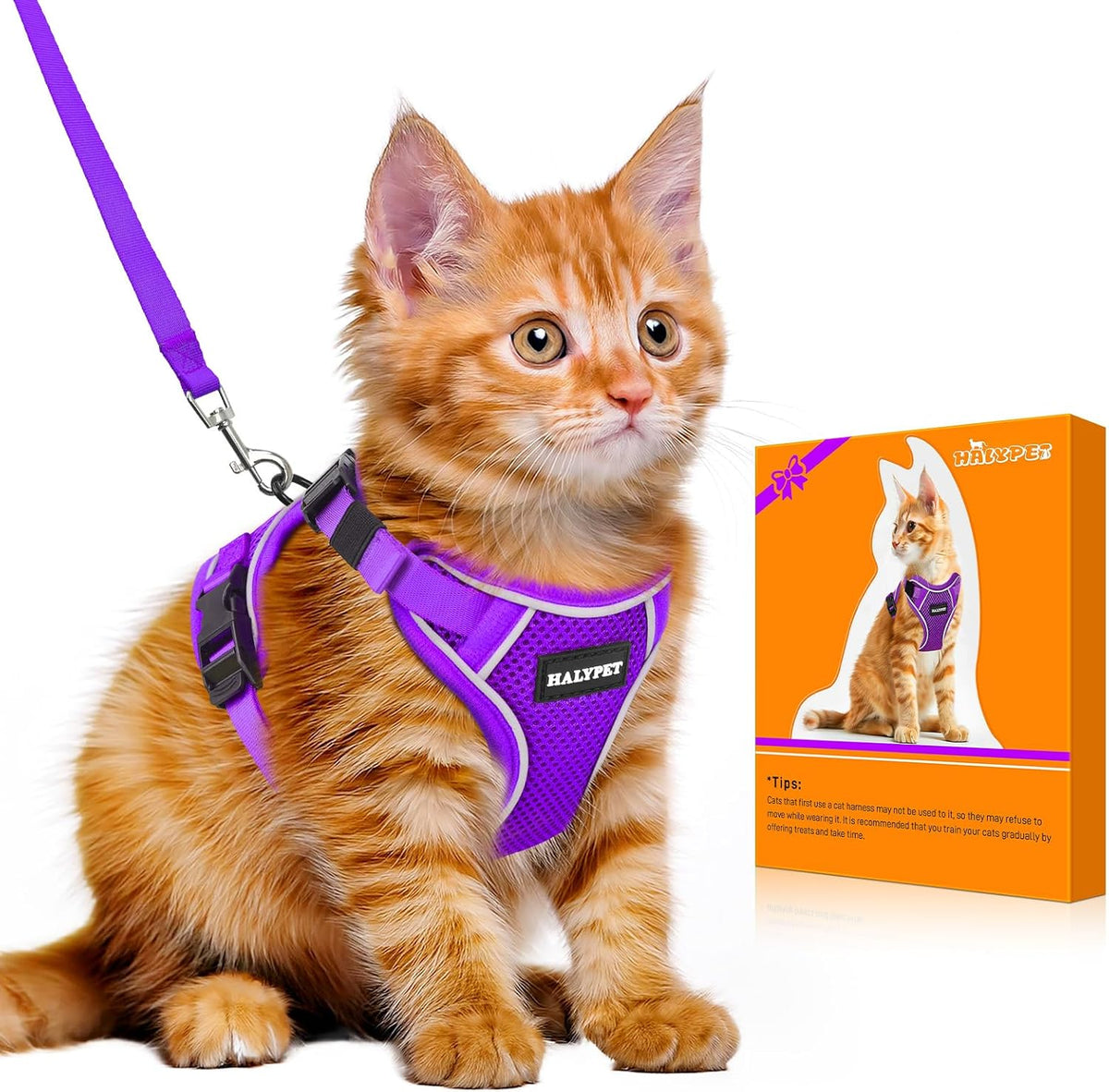Cat Harness and Leash Set, Escape Proof Kitten Harness, Black - H600 Pro Purple / X-Small (4-6lb)