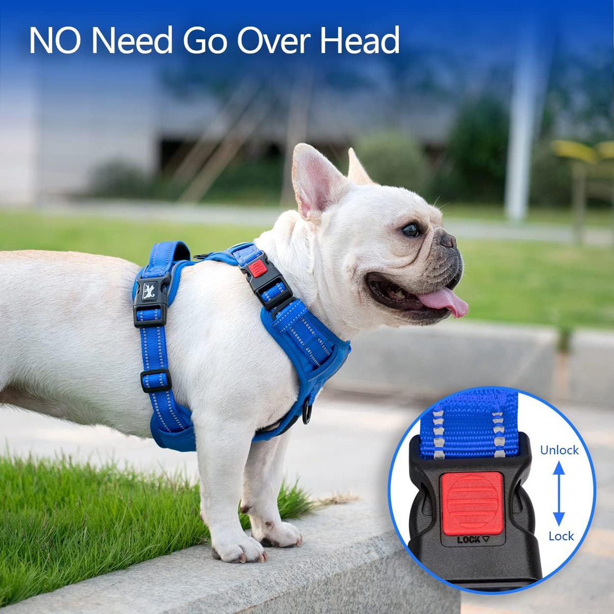 PoyPet No Pull Dog Harness Medium with Front Clip & Neck Release - XL / Royal Blue - image 3
