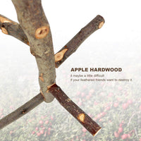 Bird Perch Nature Apple Hard Wood Stand - image 3