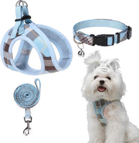 EXPAWLORER Plaid Small Dog Harness and Leash Set with AirTag Holder - Blue / X-Small