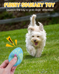 SCHITEC Dog Squeaky Toy Balls, Puppy Tennis Balls for Fetch Play - For Mini/Small Dogs / Football - image 2
