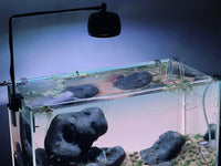 LANDEN Glass Aquarium Lid with Clips for 30x30cm 6.6 Gallon Rimless - Cover Clips / 4mm with 3.5mm Gap (12 pcs) - image 2