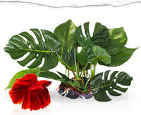 SunGrow Plastic Leaf Plant, Heavy-Duty Ceramic Base - 6 Inches / 1