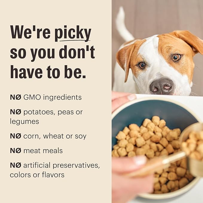 The Honest Kitchen Whole Food Clusters Dog Whole Grain Beef & Oat 10 lb Bag