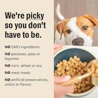 The Honest Kitchen Whole Food Clusters Whole Grain Beef & Oat Dry Dog Food, 1 lb Bag