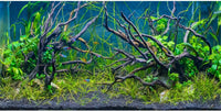 48x24 inches Tropical Fish Tank Background Aquatic Plant Aquarium - 48x18in/120x45cm