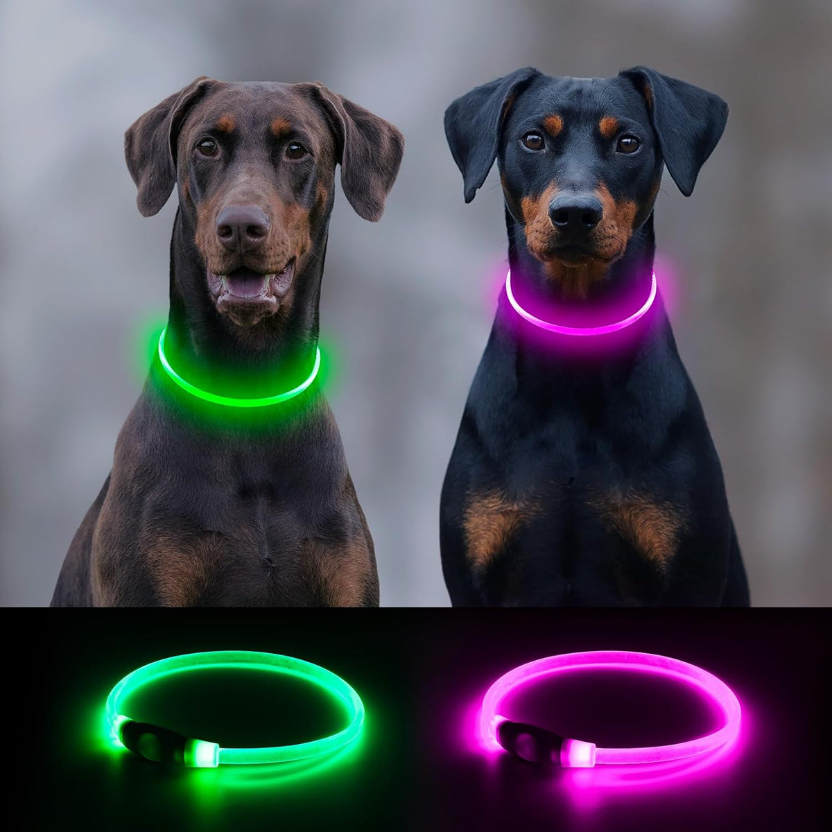 2 Packs Light Up Dog Collar - Green+Pink - image 2