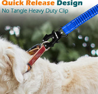 PetBonus Bungee Dog Leash Extension - Blue - image 2
