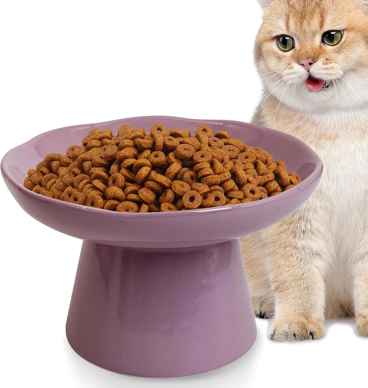 VCEPJH Elevated Cat Bowls 6.1in Wide Shallow Ceramic Raised Food Dish – Essentials for Cats - Purple(Pack of 1)