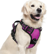 rabbitgoo Dog Harness for Large, No Pull 3 Buckles Easy On & Off – Essentials for Dogs - Purple / X-Large