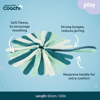 Coachi Puppy & Mini Tuggi Tug, Dog Toy for Tug of War & Play - Tuggi Spider - image 4