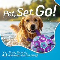QDAN Dog Balls, Herding Balls for Dogs - Purple-Blue / Extra Large Size 5 (9 Inch) - image 2