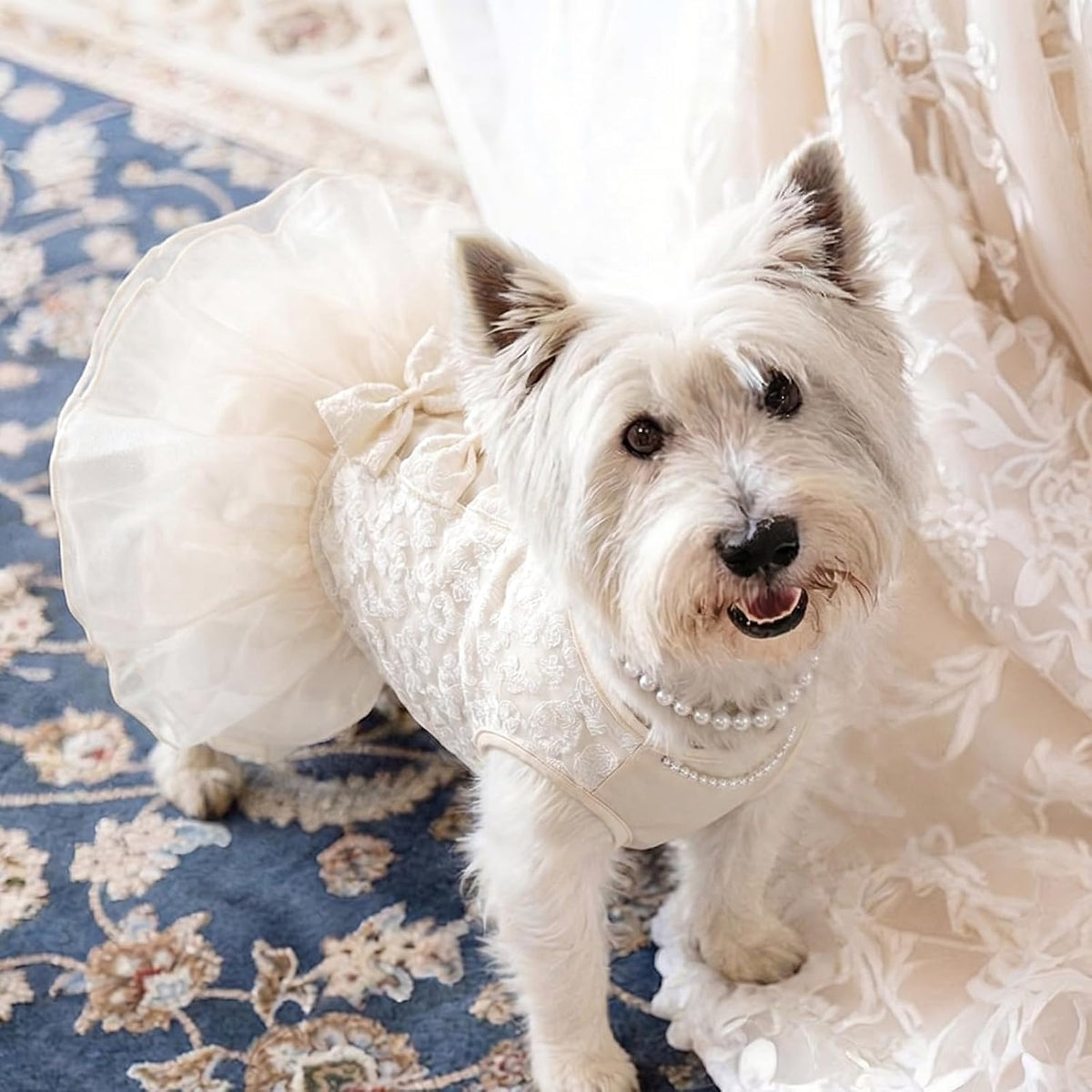 ASENKU Dog Dress, Dog Wedding Dress with Bows, Veil Attachment - Champagne / Large - image 3