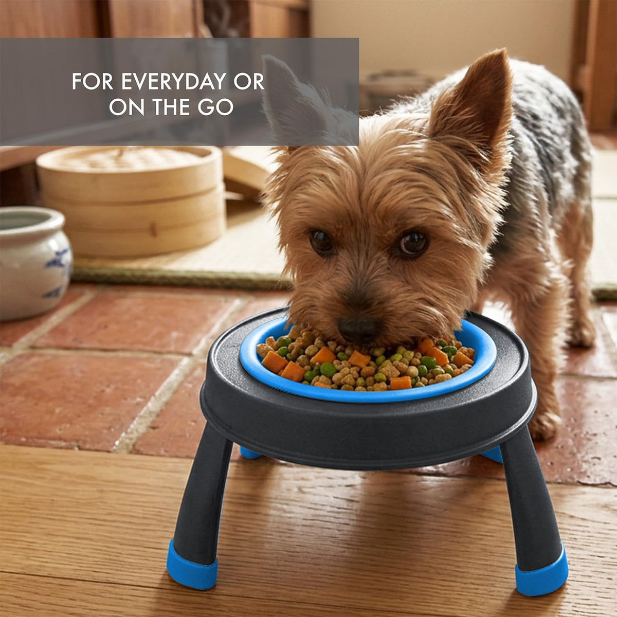 Dexas Pets Elevated Pet Feeder, 4 Cup Capacity - Small/1.5 Cup Capacity / Pro Blue - image 4