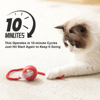 2025 New 3Pack Cat Ball Kitten Toys for Indoor Interactive Kitty Ball - 3PK - image 4