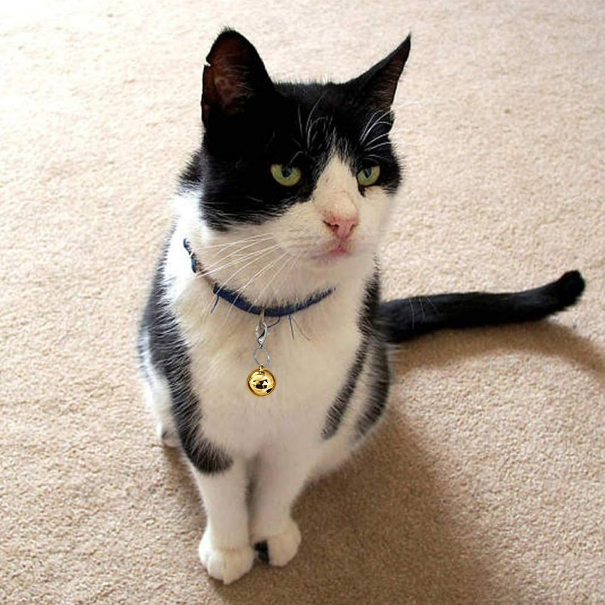 4 Sets Cat Bell for Dog Collar Charm Training Pet Pendant Accessories - Medium / Gold - image 3
