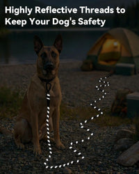 Joytale Long Dog Leash for Yard Tie Out & Recall Training - Black / 30FT - image 4