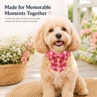 Green Dog Collar with Bow Tie, Christmas Bowtie Dog Collar M – Essentials for Dogs - M / T-Pink Plaid - image 2