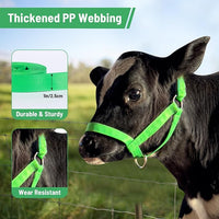 XUANNIAO Easily Adjustable Figure 8 Cow Halter, Double-Ply Premium Livestock Cattle Halters, Colorful Cow Utility Calf Halter with Leading Rope for Miniature Horse Donkey Goat Foal (Medium, Pink)