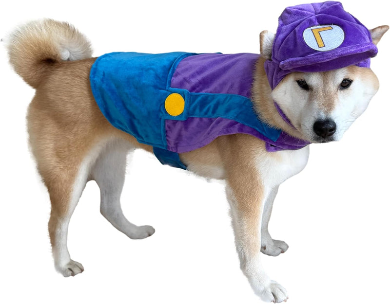 ComfyCamper Hat and Suspenders Dog Costume - Medium / Purple and Blue