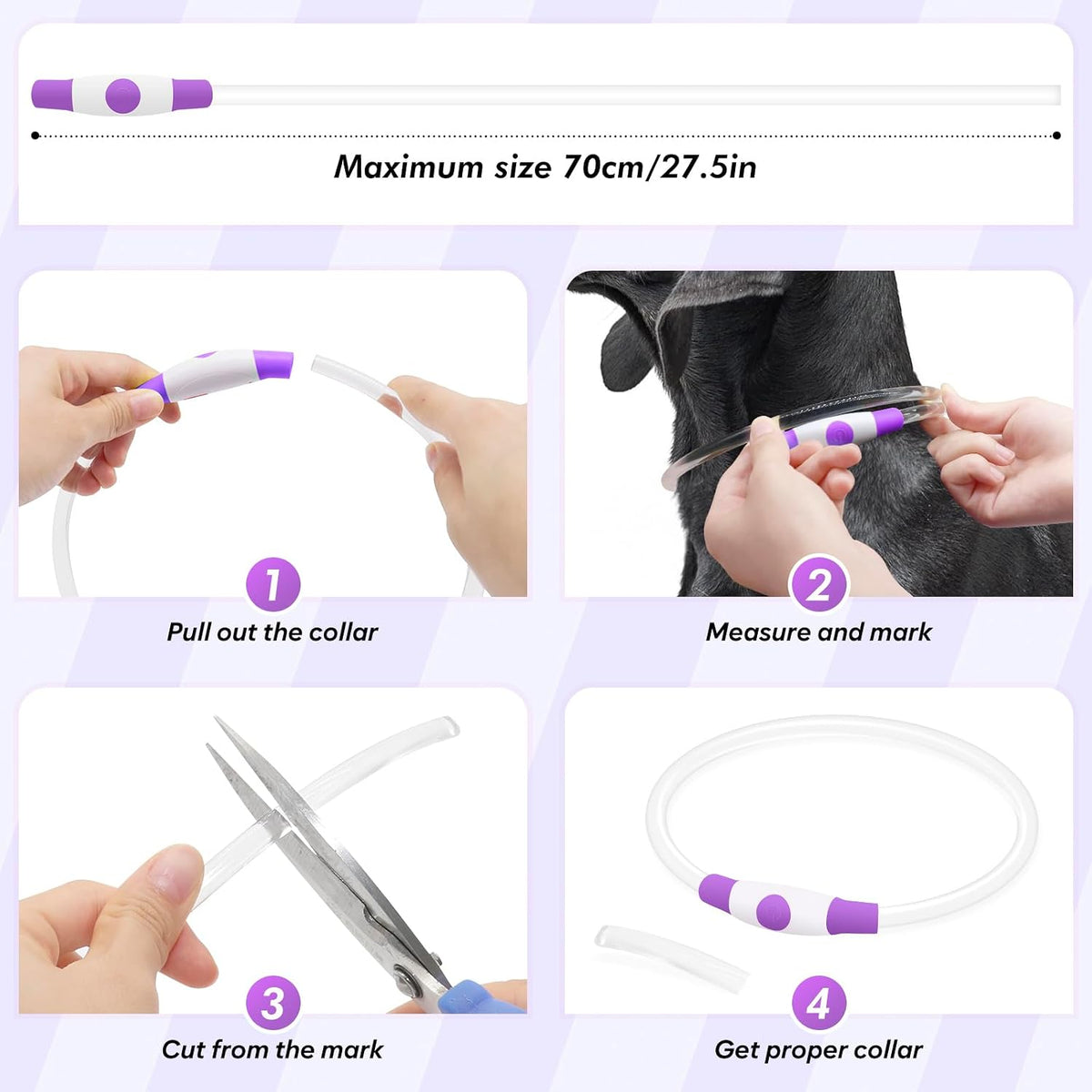 Light Up Dog Collar – Essentials for Dogs - Purple (70cm) - image 4