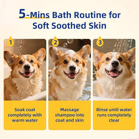 Unipaws Probiotic Dog Shampoo for Short-Haired Coats – Itch Relief, Deodorizing & Hydrating for Healthy, Fresh Skin with Calendula & Oatmeal – EWG Green & White Tea Scent, Made in Korea, 16.9 Fl Oz