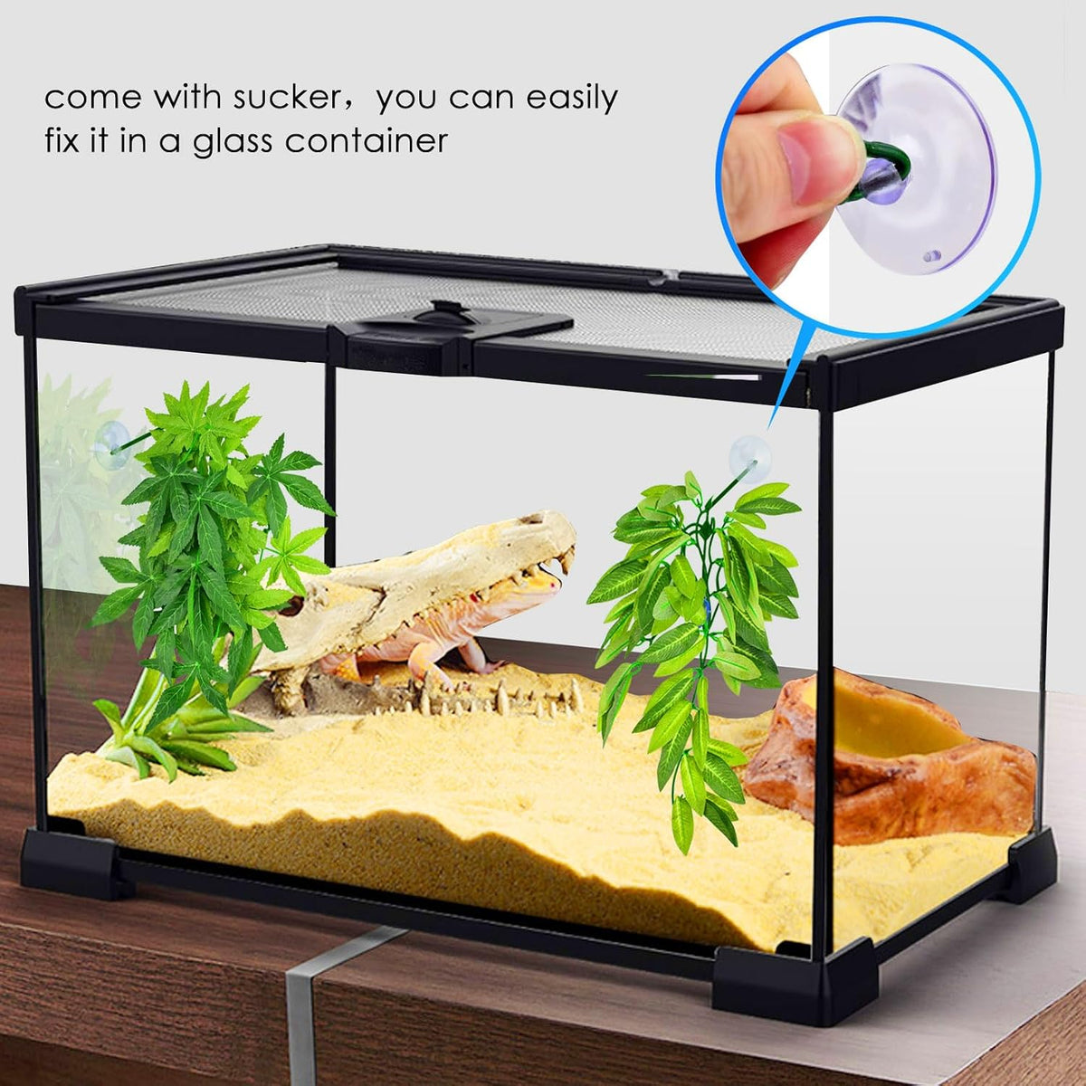 KATUMO Reptile Plants, Bearded Dragons, Lizards, Geckos, Toads - Green - image 3