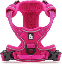 TRUE LOVE Adjustable No-Pull Dog Harness Reflective Pup Vest Harnesses Comfortable Control Brilliant Colors Truelove TLH5651(Fushcia,L)