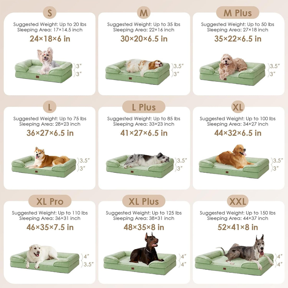 EHEYCIGA Orthopedic Dog Beds Large Sized Dog - Sage Green / 52.0"l X 41.0"w X 8.0"th - image 2