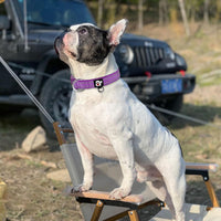 Reflective Dog Collar, Neoprene Padded Small Dog Collar, S - Medium (Pack of 1) / Dark Purple - image 2