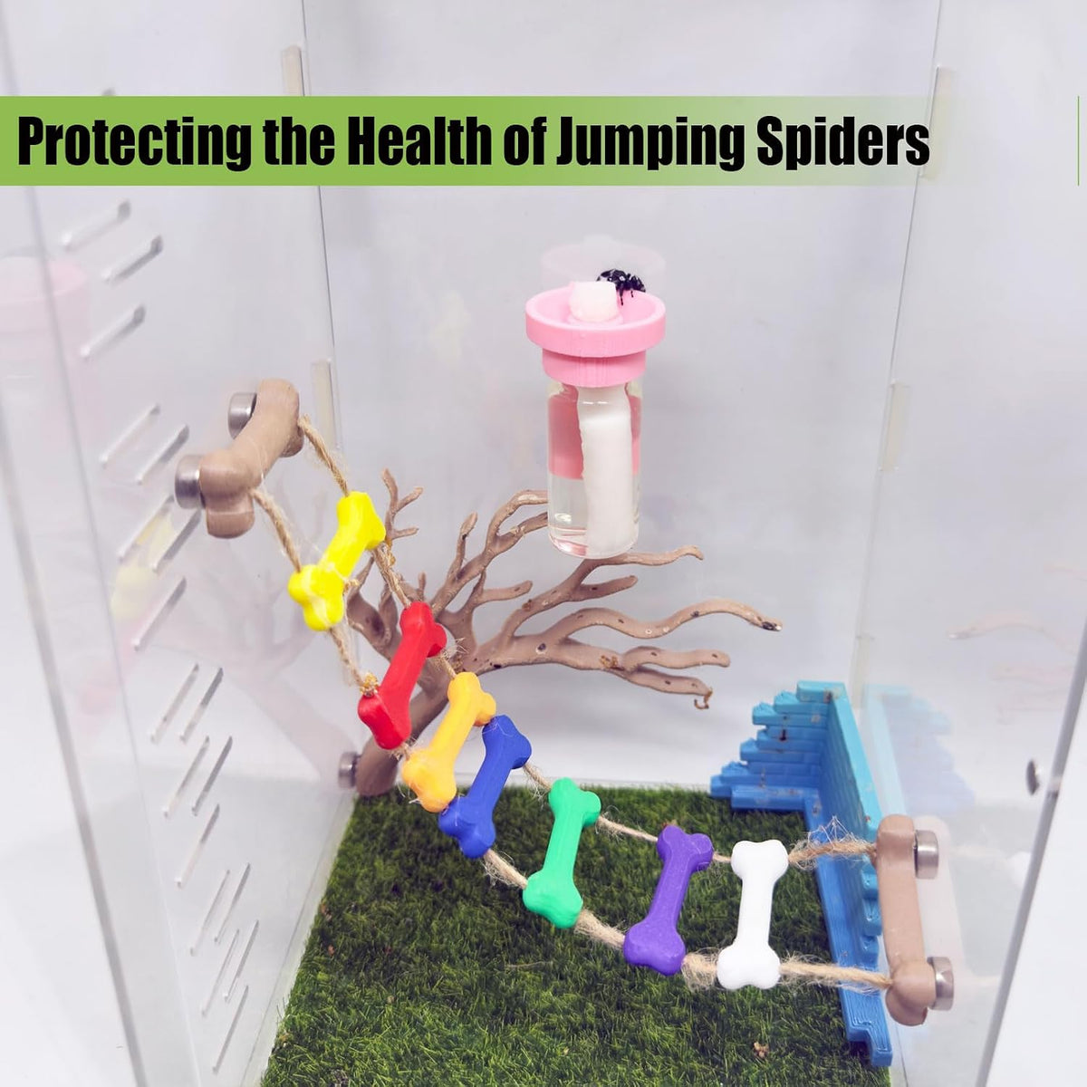 Jumping Spider Water Dispenser, Magnetic Hanging Feeder - Pink / 5ML - image 3