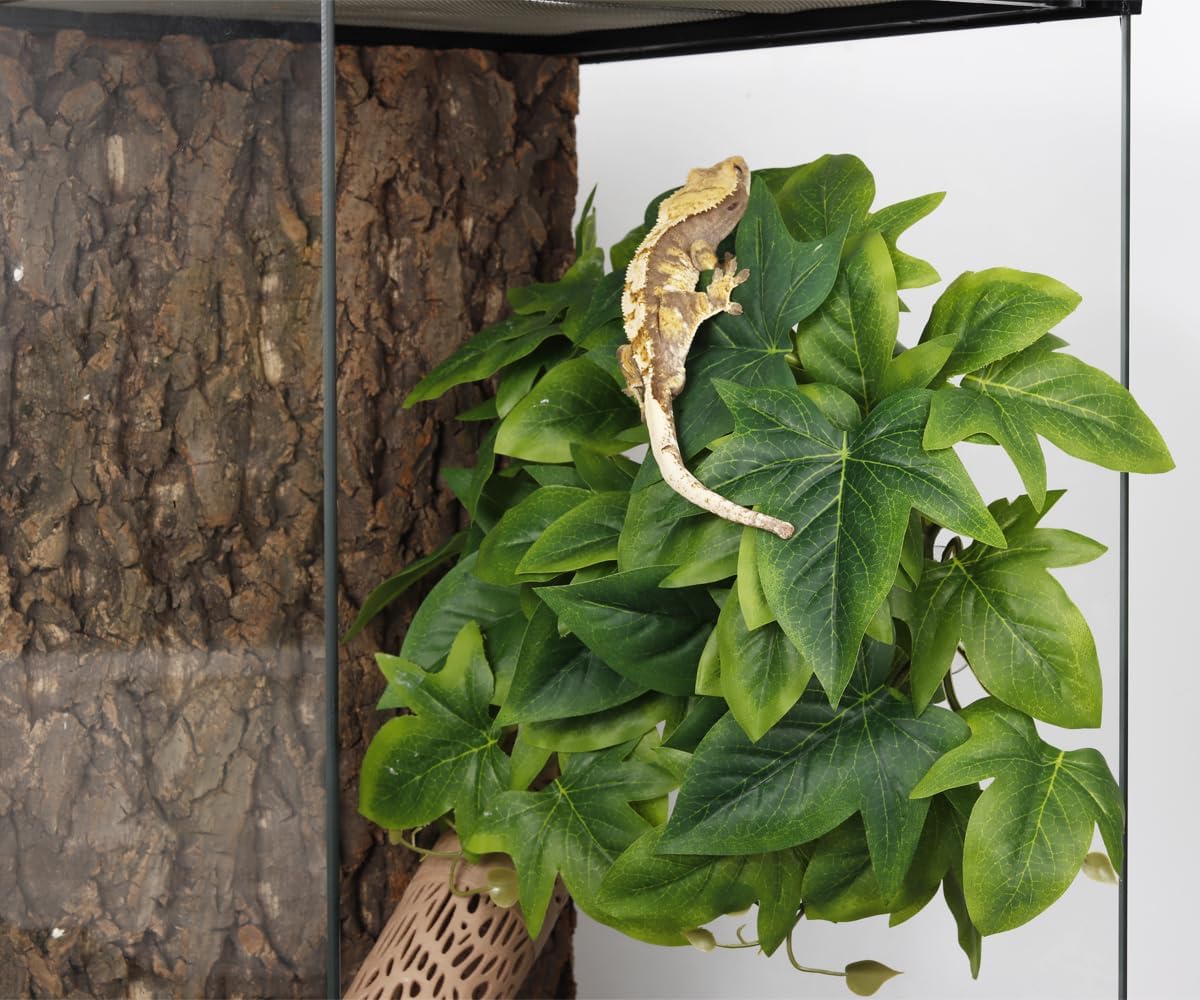 2Pack Reptile Plants for Terrarium - C-fake Sweet Potato Vine - image 3