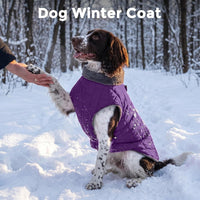 Fleece Dog Jacket for Small Dogs, Puppy Coat with Harness - Purple / X-Small - image 2