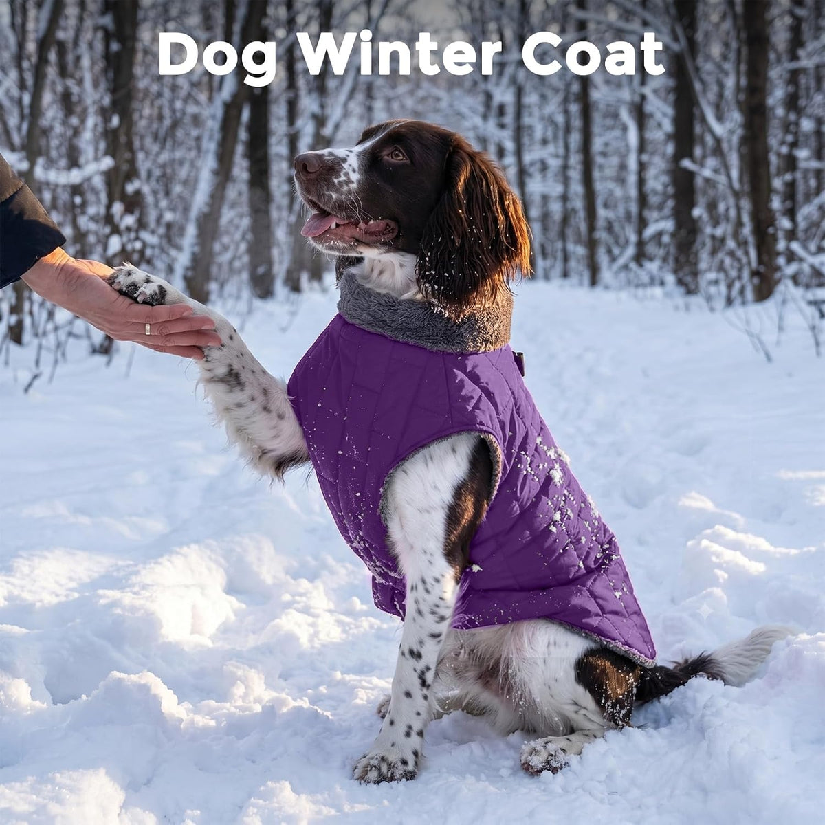 Fleece Dog Jacket for Small Dogs, Puppy Coat with Harness - Purple / X-Small - image 2