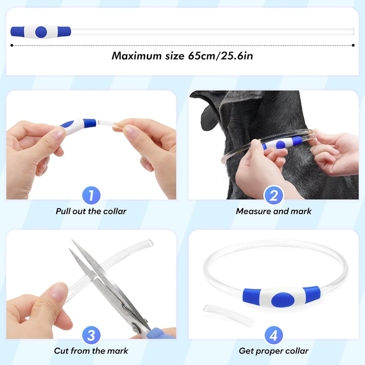 Light Up Dog Collar – Essentials for Dogs - Blue (70cm) - image 3