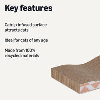 Amazon Basics Cat Scratching Post - image 2