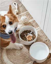 LE TAUCI Dog Bowl Set with Acacia Wood Stand - Fireworks+Clover / L-5 Cup - image 4