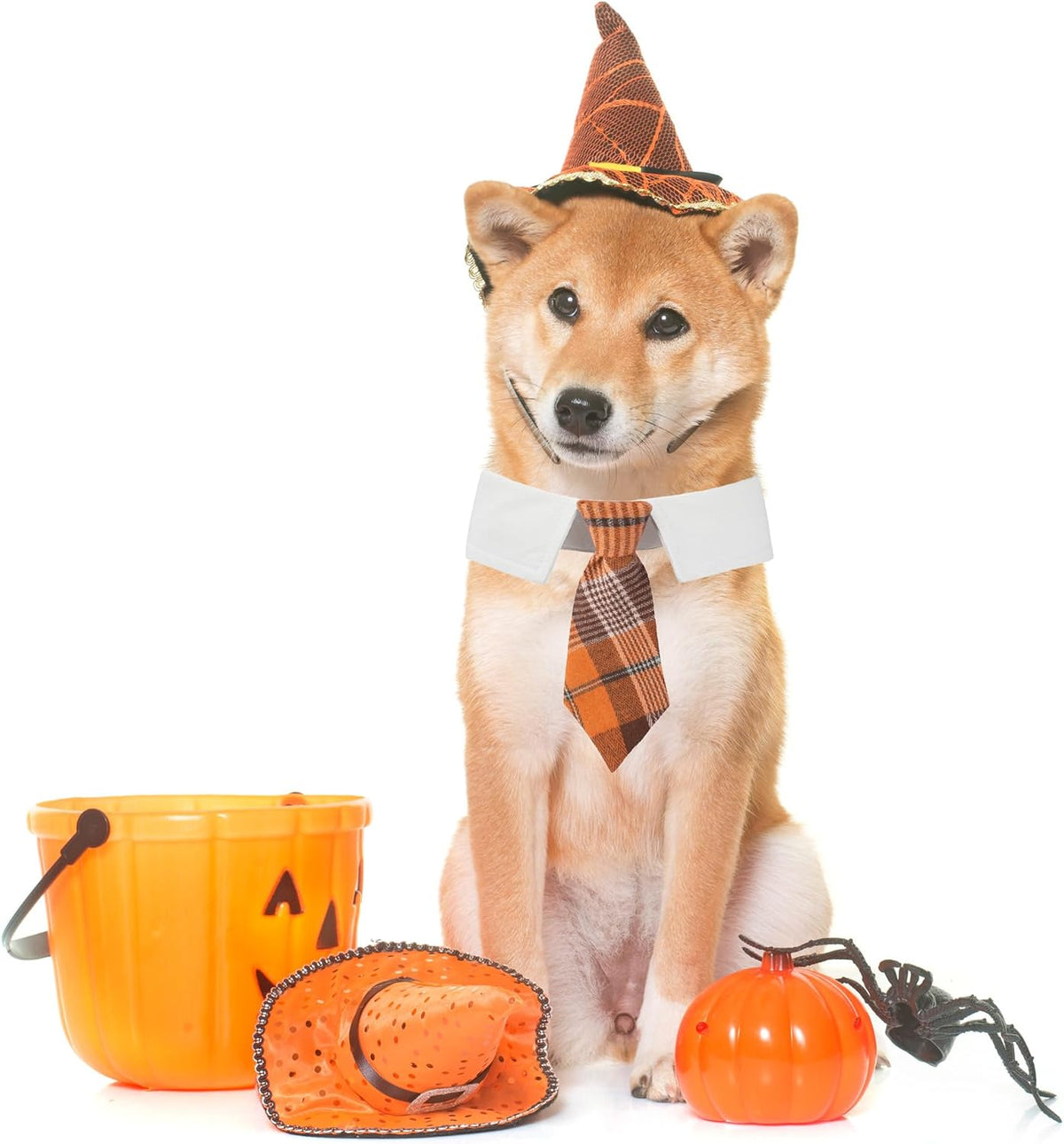 ADOGGYGO Fall Dog Neck Tie - Large / Orange - image 3