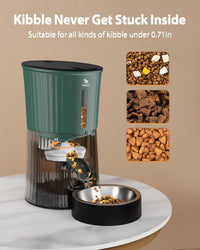 Timed Automatic Cat Feeder - Green / Regular - image 2