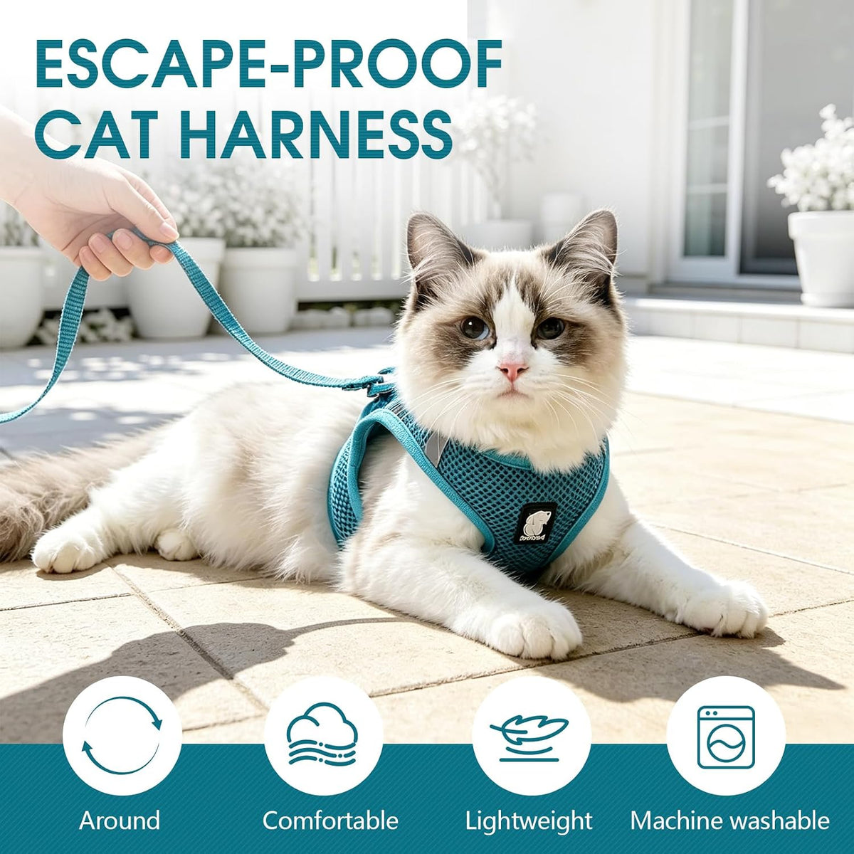 Cat Harness and Leash - Ultra Light Escape Proof Kitten Collar Cat Walking Jacket with Running - Turquoise / Large - image 3