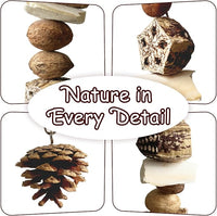 Nut Perch Stand with Interchangeable Materials – Natural, Safe Bird Playset for Beak Exercise & Mental Stimulation