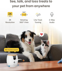 Furbo 360° Dog Camera [Core Features, No Ongoing Cost] – Essentials for Dogs - No Subscription Required / Mini 360° Camera - image 2