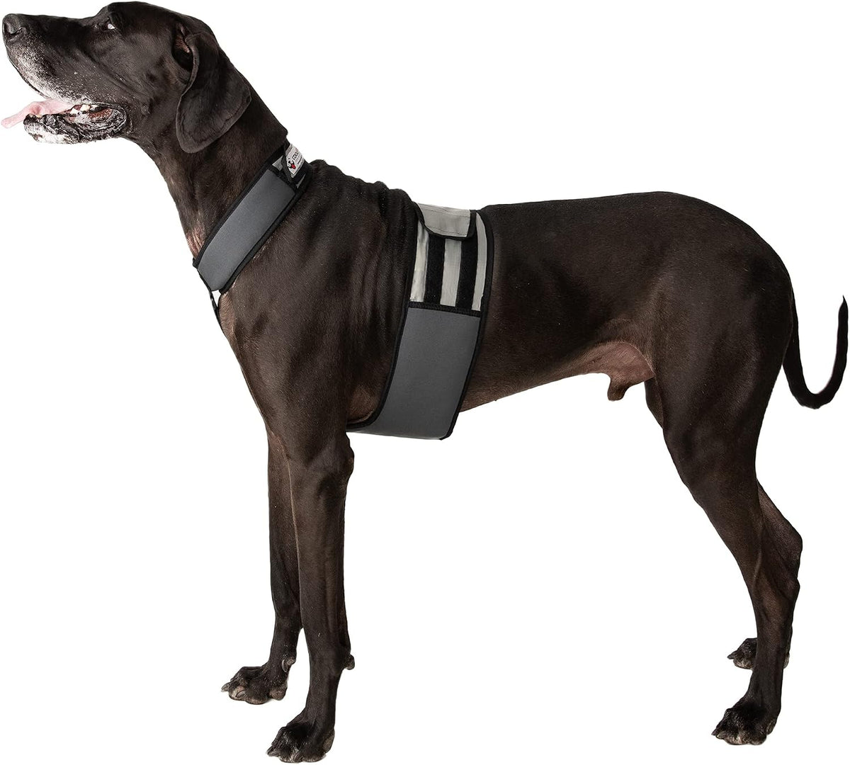 CoolerDog Dog Cooling Vest & Cooling Collar - XL - image 3