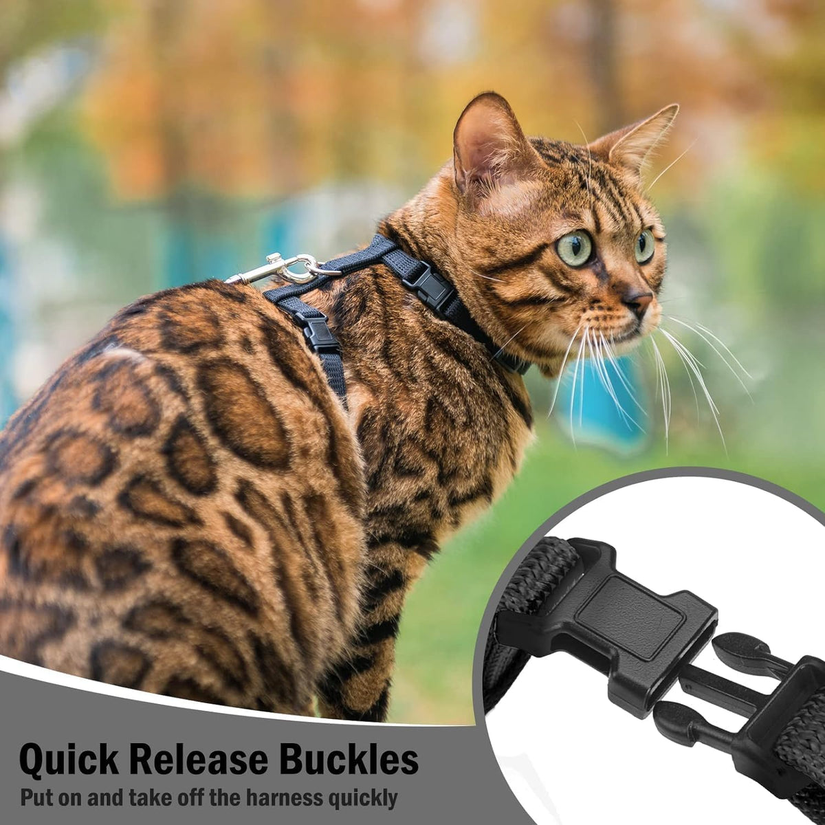 PUPTECK Adjustable Cat Harness and Leash Set Escape Proof Kitten - Medium / Black - image 3
