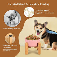 Raised Ceramic Large Dog Bowl - Medium Dog Bowls 850ML*1 / White - image 3