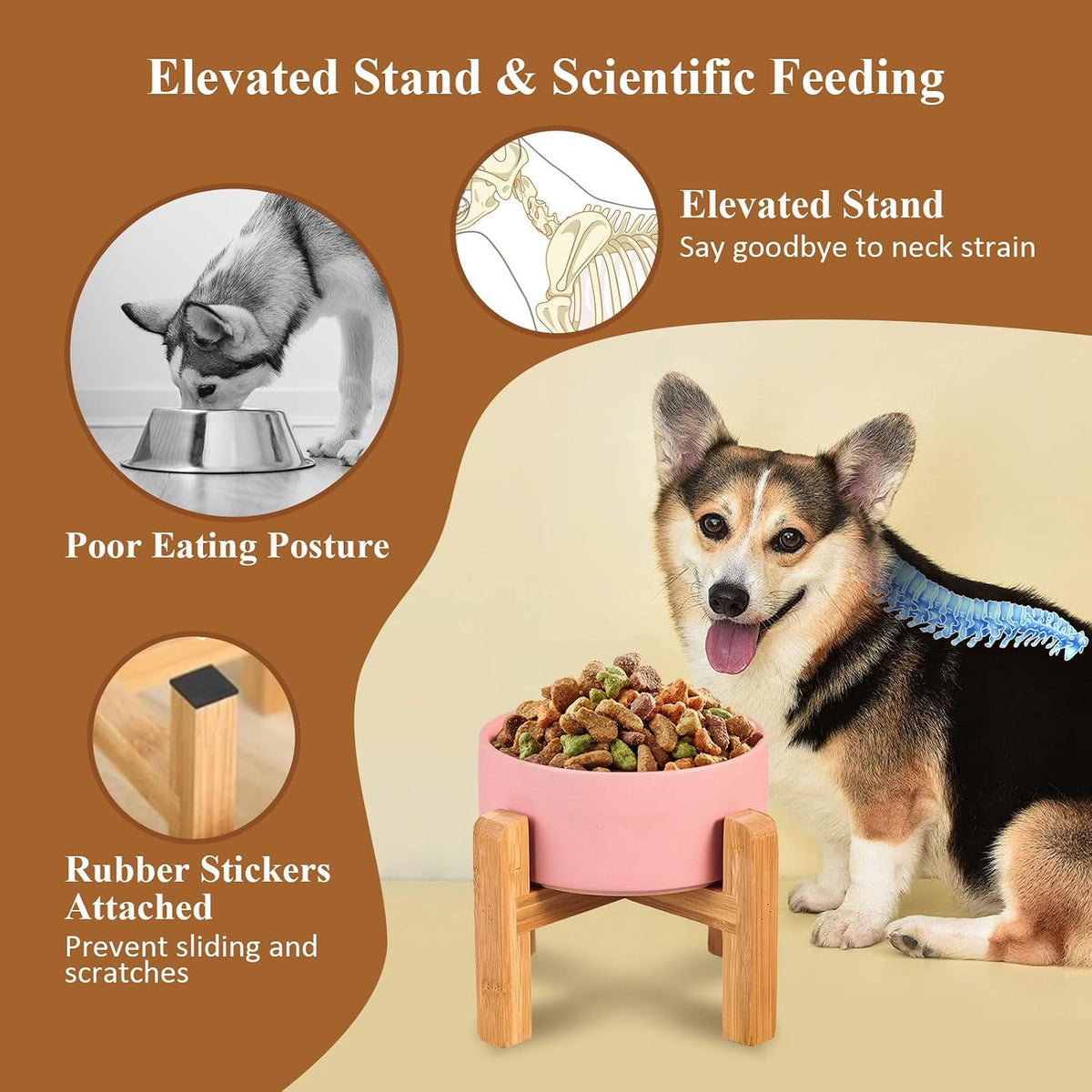Raised Ceramic Large Dog Bowl - Medium Dog Bowls 850ML*1 / White - image 3